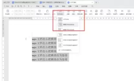 wps��ô�Ѻ��������