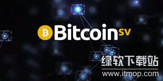 BSV���������ƽ�ʲô����д����ʲô����Ľ�����