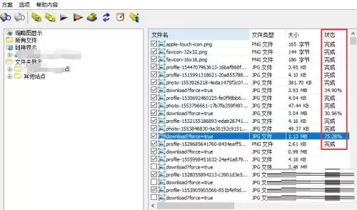 IDM�����������������ͼƬ