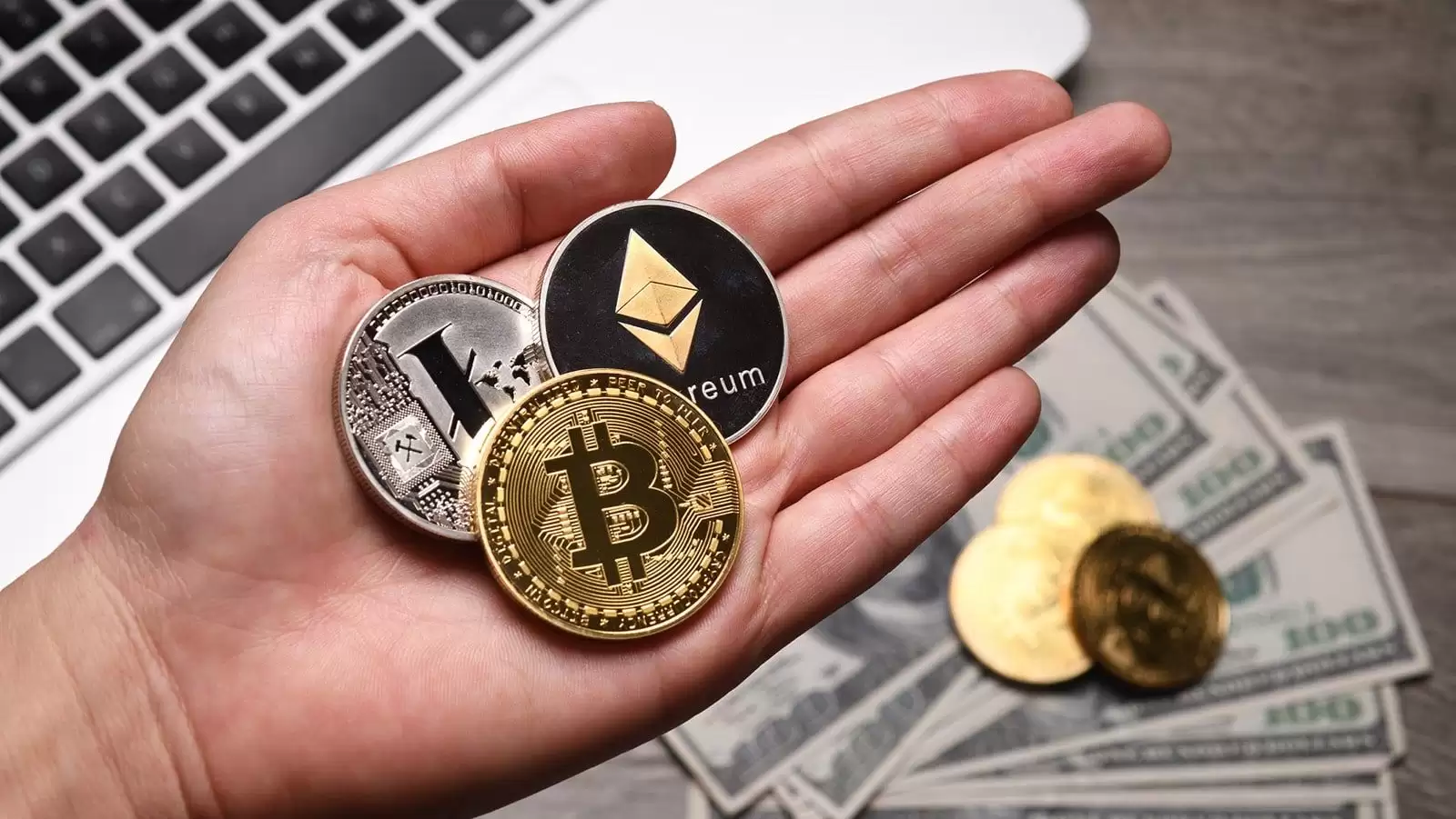 ���ܻ���Ԥ����ʲô������Ͷ�ʹ����������ʾ