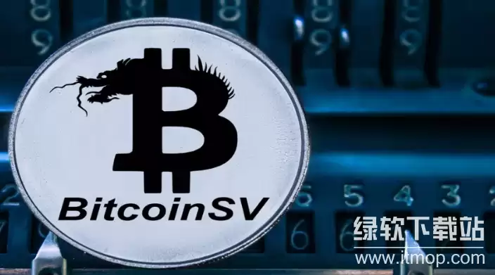 BSV���������ƽ�ʲô����д����ʲô����Ľ�����