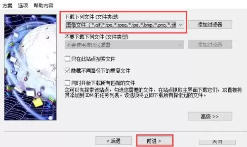 IDM�����������������ͼƬ