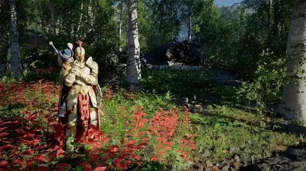 红色沙漠无限爆炸箭流派攻略 怎么实现无限爆炸箭 红色沙漠无限爆炸箭流派攻略 怎么实现无限爆炸箭