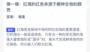 �캣�ĺ�ɫ�������������ɫ����-�����������ɫ����˺캣�ĺ�ɫ