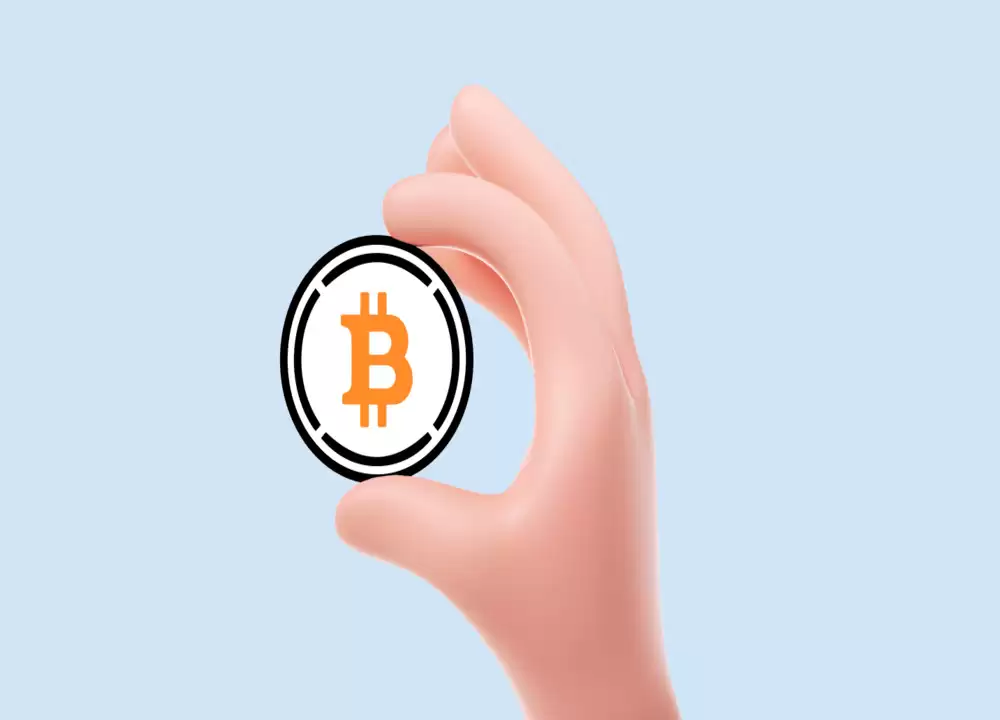 ʲô�ǰ�װ���ܻ��ң������������װ������ϸ����