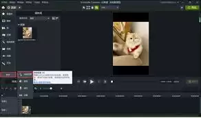 Camtasia Studio如何实现鼠标高亮放大-Camtasia Studio鼠标高亮放大的方法 Camtasia Studio如何实现鼠标高亮放大-Camtasia Studio鼠标高亮放大的方法
