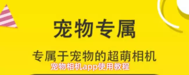 宠物相机app怎么用-使用教程 宠物相机app怎么用-使用教程