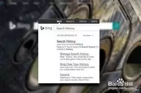 ������Bing������������-Bing��������������ݵķ���