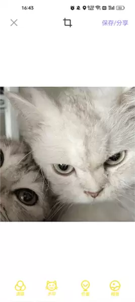 宠物相机app怎么用-使用教程 宠物相机app怎么用-使用教程