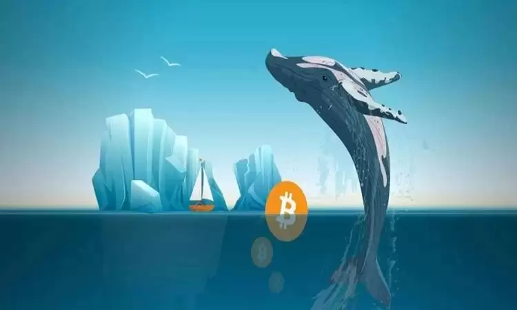 ���ɺ�������ĸ�׬Ǯ