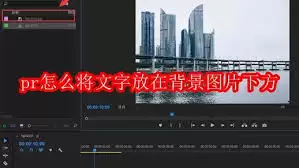 Pr������òʺ�ɫ��ǩ-����Pr�ʺ�ɫ��ǩ�ķ���