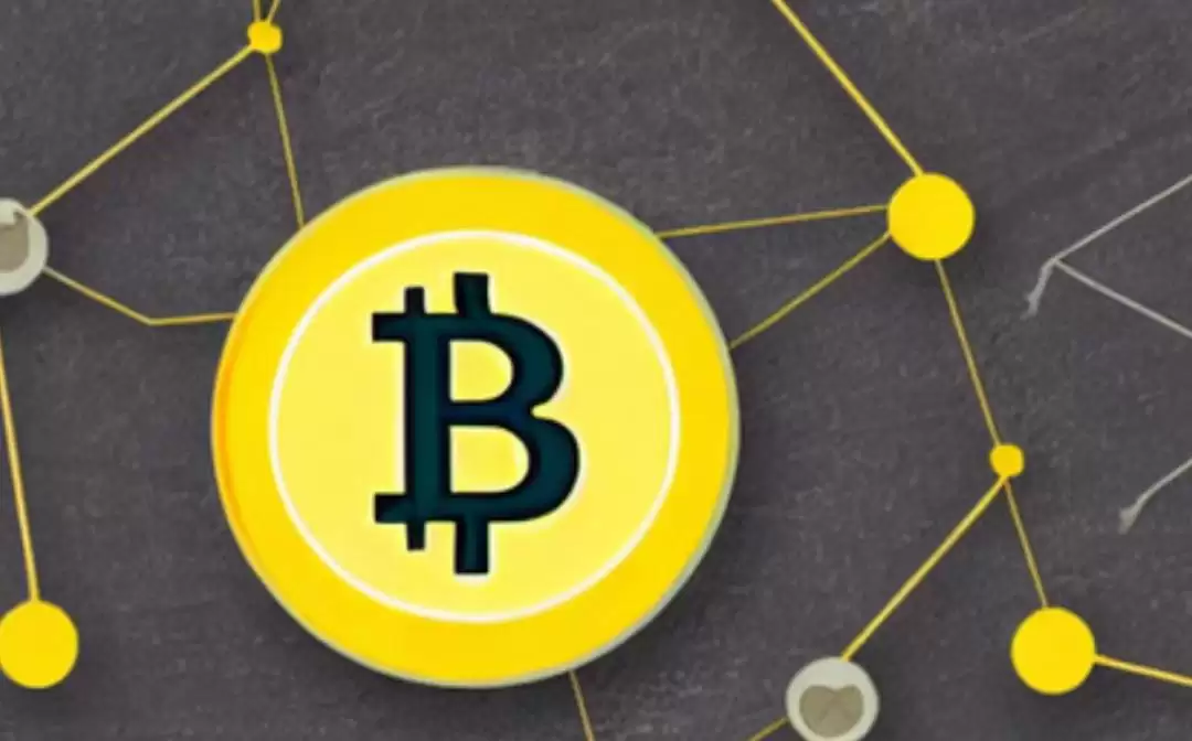 ���رҽ��������Ƕ���