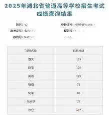 �����app��β�������¿��Գɼ�-�����app������ѯ�������¿��Գɼ�