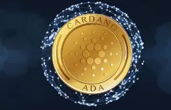 ɽկ��2025�������� ɽկ���ĸ�������ǰ��