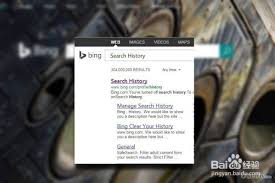 ������Bing������������-Bing��������������ݵķ���