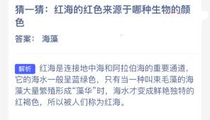 �캣�ĺ�ɫ�������������ɫ����-�����������ɫ����˺캣�ĺ�ɫ