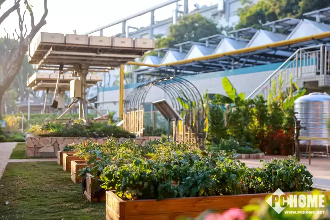 苹果年省550亿升淡水 新款设备更加注重环保 苹果年省550亿升淡水 新款设备更加注重环保