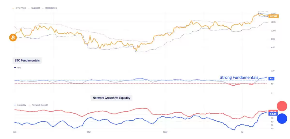 ���ر�12.3����Ԫ�ⲻ�Ƕ���:����ʦBitcoin Vectorָ��BTC����ͻ�Ƹ���