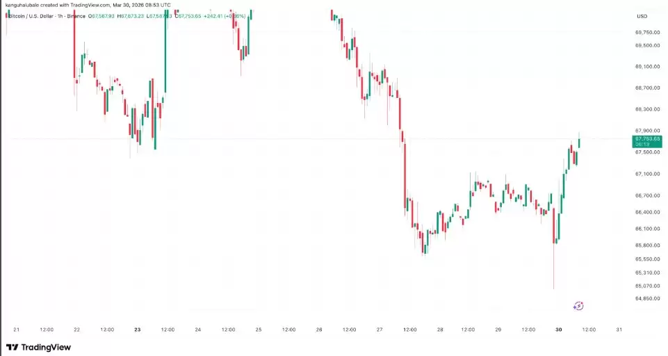 ��������ָ��Ͷ���ģ�ͱ���,���رҵײ�������4����Ԫ