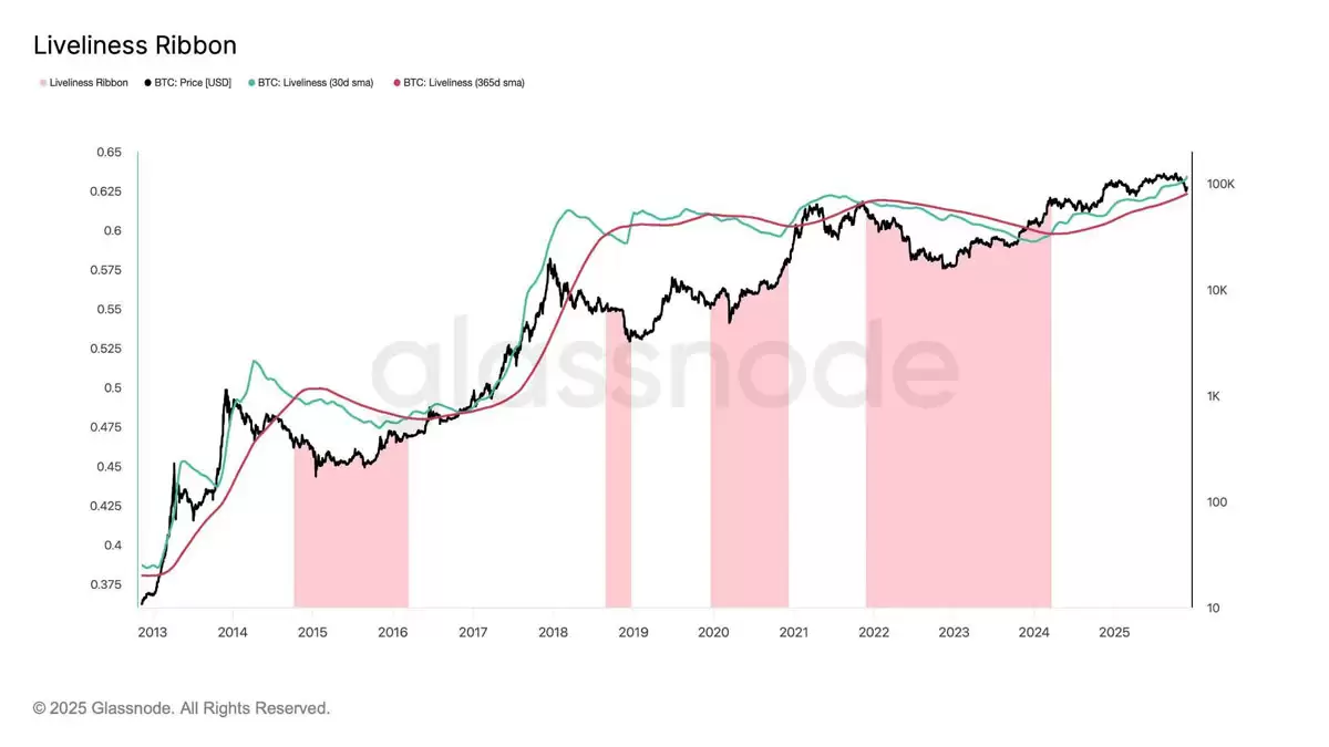 ���رң�BTC�� 