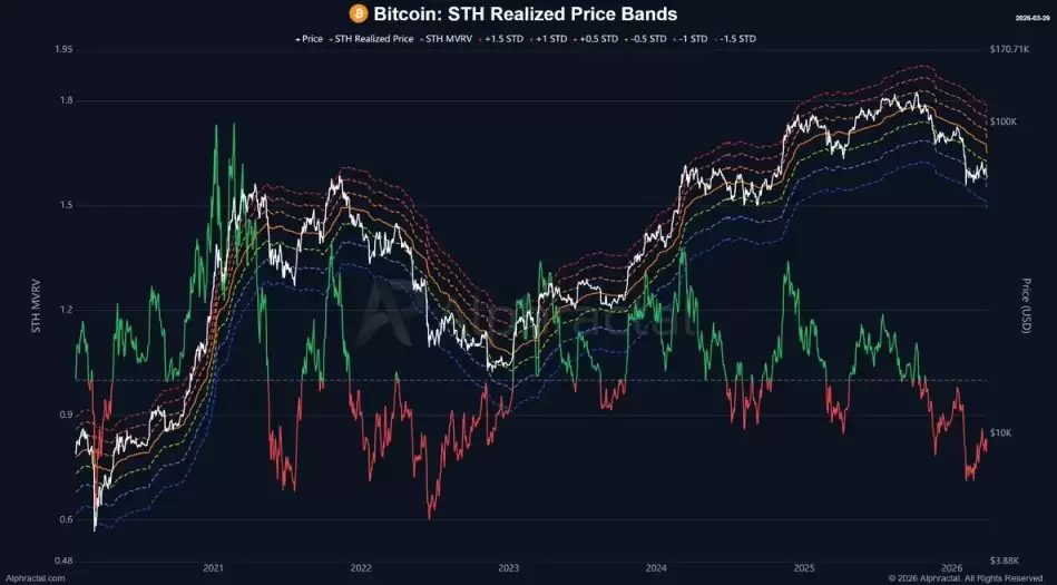 ��������ָ��Ͷ���ģ�ͱ���,���رҵײ�������4����Ԫ