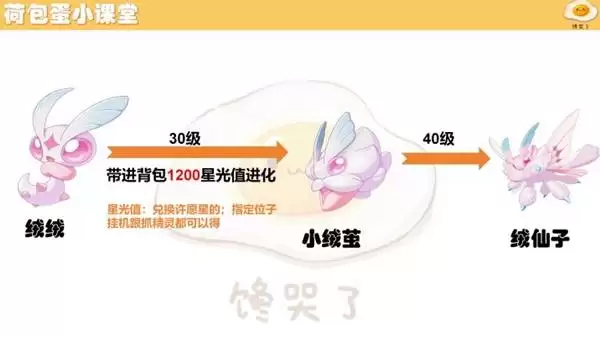 ��������������ؽ�����������