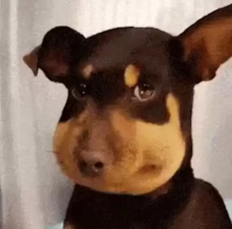 �ߴ�����Meme������Щ��˭�л������߱Ұ���վ��һ�����