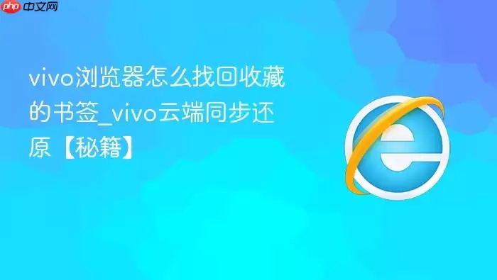 vivo�������ô�һ��ղص���ǩ