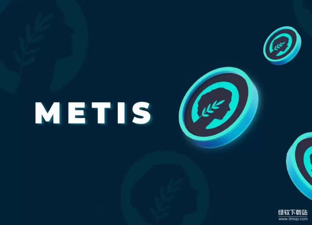 METIS�����кκ��Ĺ��ܣ�����Ѻ����������������밲ȫ��