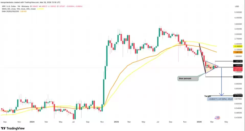 �𲨱ң�XRP���۸�����50%�µ�����,�²�����