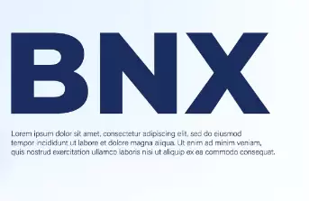 bnx����ʲô�� bnx��������Ϣ����ϣ����