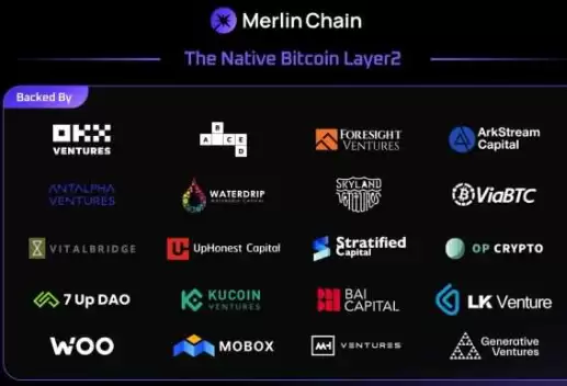 merl��������Ϣ merl����ʲô����Ǳ����