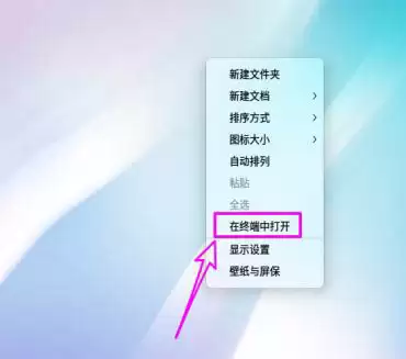 deepin20子网掩码在哪? deepin查看子网掩码的技巧 deepin20子网掩码在哪? deepin查看子网掩码的技巧