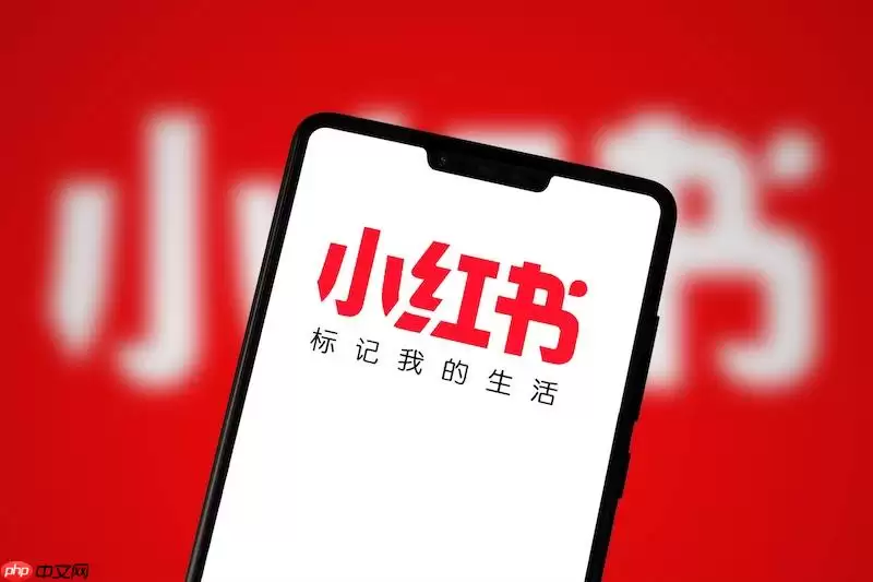 С���鱬��������ô����