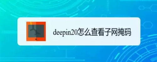 deepin20子网掩码在哪? deepin查看子网掩码的技巧 deepin20子网掩码在哪? deepin查看子网掩码的技巧