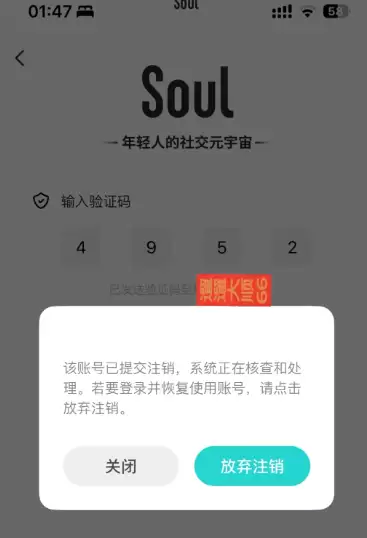 soul��ôע���˺� soulע��Ҫ���