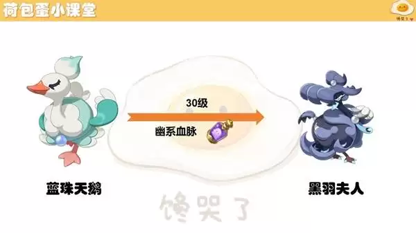 ��������������ؽ�����������