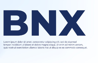 bnx����ʲô�� bnx��������Ϣ����ϣ����