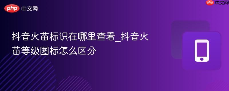 ���������ʶ������鿴