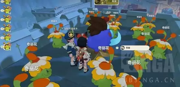 洛克王国世界奇丽花养殖教学 洛克王国世界奇丽花养殖教学