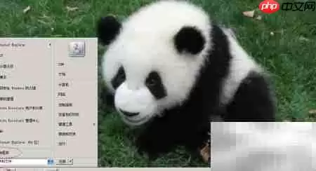 WinServer2008����������������