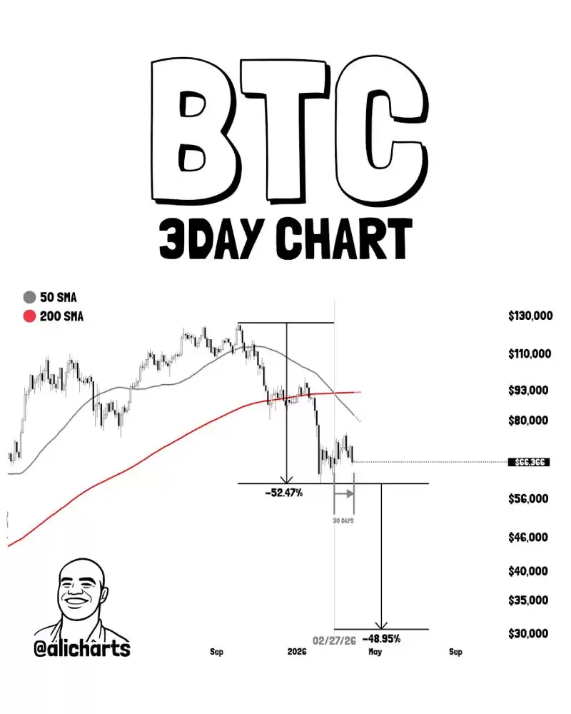 2026����ر�ţ�з���:��һ��BTCţ�п�ʼǰ����ϴ����Ҫ����