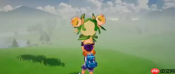 ��������������ѹ�Ӣ����