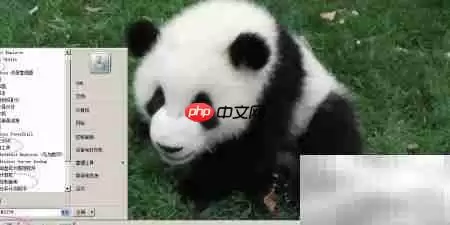 WinServer2008����������������