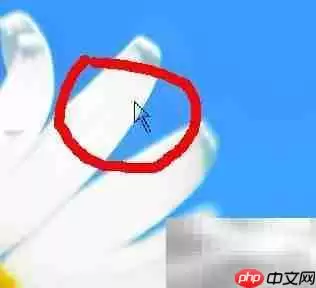 制作透明光标的方法 制作透明光标的方法