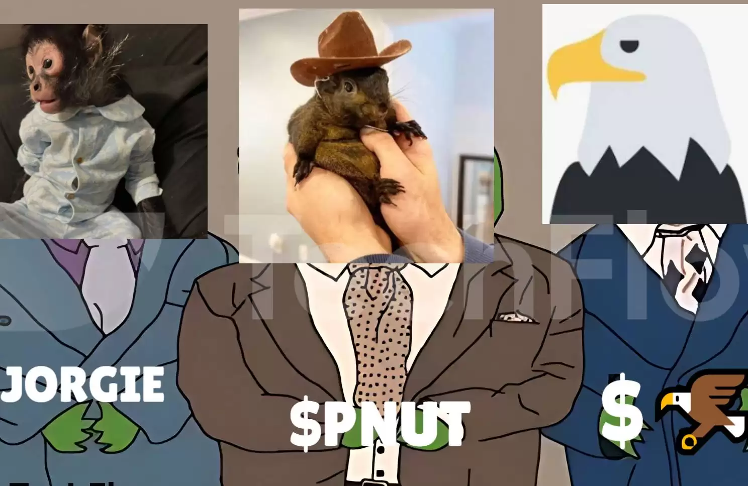 �������ĸ������ֵǮ