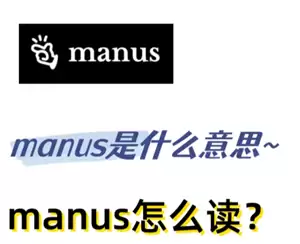Manus��ô�� Manus��deepseek������