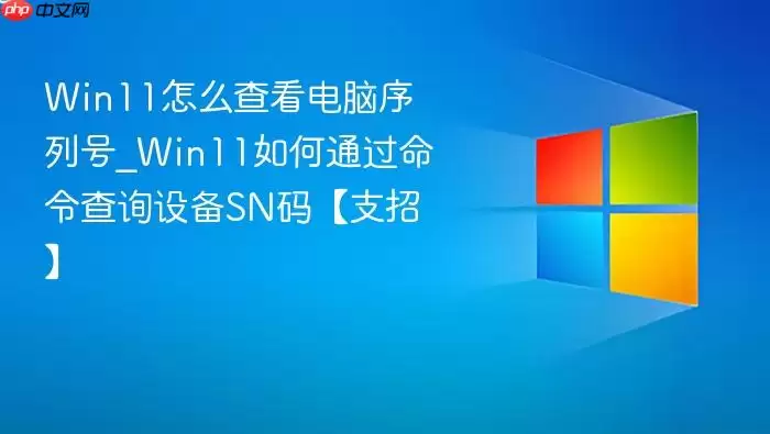Win11��ô�鿴�������к�_Win11���ͨ�������ѯ�豸SN�롾֧�С�