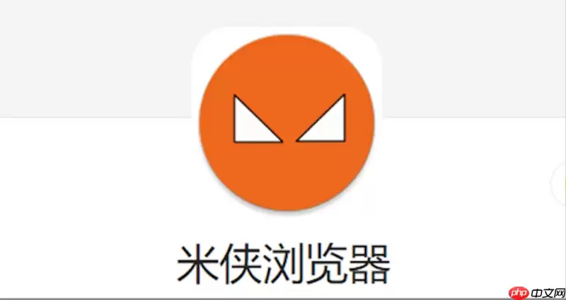 ���������ҳ����ʾ������