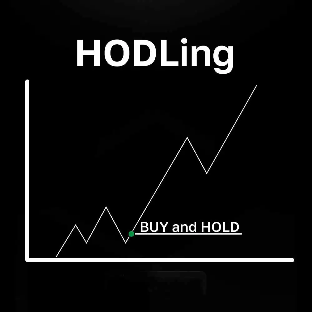 ���ܻ�����ô���ף��Ӷ��ߵ����ߵ���������ָ��